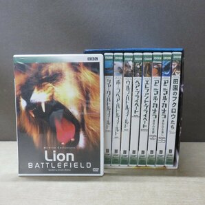 【DVD】BBC ワイルドライフ・エクスクルージウ※一枚欠品の画像1