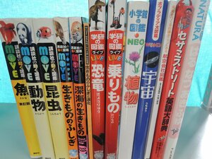 【図鑑】《まとめて13点セット》講談社の動く図鑑Move/学研の図鑑/小学館の図鑑NEO/生きもののふしぎ/深海の生きもの/恐竜/乗りもの 他