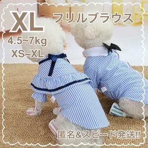 ストライプ フリル ブラウス XL 犬服 ドッグウェア ワンピース リボン ペットウェア ペット服 ペット 犬 猫 秋 冬 ワンピ かわいい