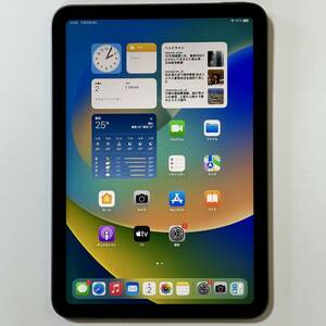 Apple iPad mini (第6世代) スペースグレイ 256GB MK7T3J/A Wi-Fiモデル iOS16.5 アクティベーションロック解除済