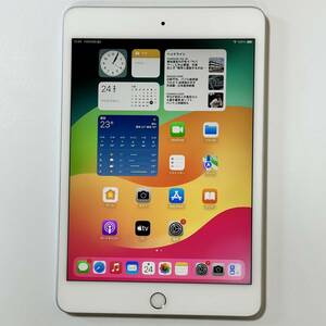 Apple iPad mini (第5世代) シルバー 64GB MUQX2J/A Wi-Fiモデル iOS17.1.1 アクティベーションロック解除済