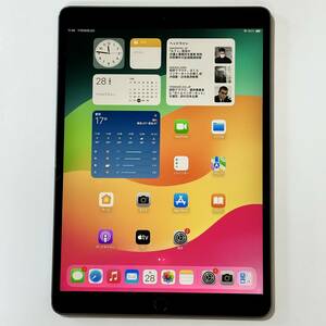 Apple iPad Air (第3世代) スペースグレイ 64GB MUUJ2LL/A Wi-Fiモデル 海外版 シャッター音無し アクティベーションロック解除済