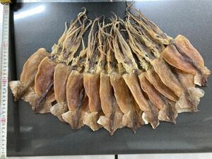 数量限定　12枚入　約350g 国内産干しスルメイカ　珍味　おつまみ　魚介類　干物　ジャーキー　あたりめ　海鮮　焼酎　日本酒　ビール　