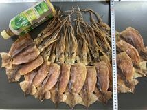 数量限定　12枚入　約350g 国内産干しスルメイカ　珍味　おつまみ　魚介類　干物　ジャーキー　あたりめ　海鮮　焼酎　日本酒　ビール　_画像6