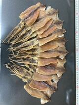 数量限定　12枚入　約350g 国内産干しスルメイカ　珍味　おつまみ　魚介類　干物　ジャーキー　あたりめ　海鮮　焼酎　日本酒　ビール　_画像2