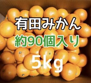 和歌山県産　有田みかん　小玉サイズ5kg 1円スタートです！