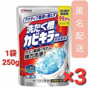 洗たく槽カビキラー 洗濯槽クリーナー 酸素系粉末タイプ 250g 3袋