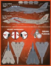 1/48 ファーボールデカール　F-14A カラー&マーキング (11) VF-114_画像4