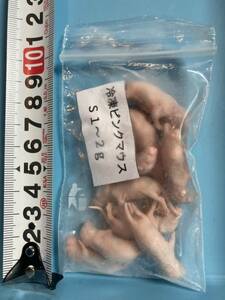 冷凍ピンクマウスS 1～2g(10匹)