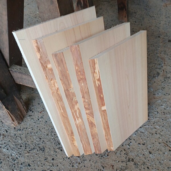 A-1533【サイズ色々】 国産ひのき 　耳付板 　5枚セット　テーブル 　まな板　 看板 　一枚板　 桧　 檜　無垢材　 DIY