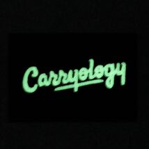 Carryology キャリオロジー ミステリーランチ パッチ ワッペン MYSTERY RANCH_画像3