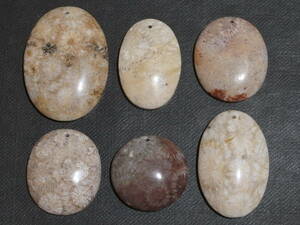 6個セット 菊花石 珊瑚の化石 フォッシルコーラル (ペンダントトップ アクセサリーなどの製作に 菊目石 サンゴ 天然石)