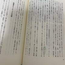 私は国連ボランティア 息子厚仁の遺志を継いで／中田武仁 (著者)_画像7