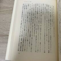 私は国連ボランティア 息子厚仁の遺志を継いで／中田武仁 (著者)_画像8