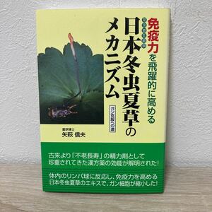 免疫力を飛躍的に高める　昆虫寄生菌類日本冬虫夏草のメカニズム　ガン克服への道 矢萩信夫／著