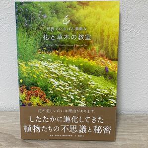 【帯つき】 世界でいちばん素敵な花と草木の教室 遠藤芳文／企画文 稲垣栄洋／監修の画像1