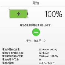 iPad mini２ silver A1490 wi-fi+ Cell バッテリー１００％_画像9