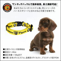 送料無料 「阪神タイガース承認 タイガース カラー」 イエロー 犬 猫用 首輪さんぽグッズ 散歩用品 お出かけ HT-15C 4995723800005_画像3