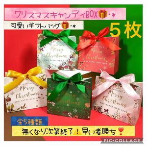 クリスマス ギフトバッグ プレゼント リボン ラッピング 包装 高級感 小分け