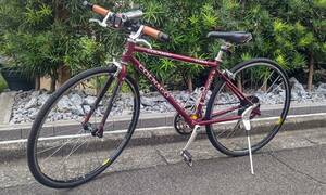 コルナゴ　COLNAGO ティアラ　TIARA　中古品