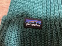 100％本物保証 新品 パタゴニア Patagonia Fisherman's Rolled Beanie フィッシャーマンズ ビーニー 29105 ニット帽　ニットキャップ _画像2