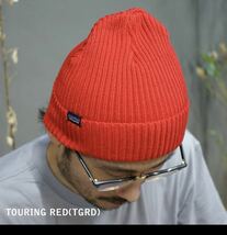 100％本物保証 新品 パタゴニア Patagonia Fisherman's Rolled Beanie フィッシャーマンズ ビーニー 29105 ニット帽　ニットキャップ _画像4