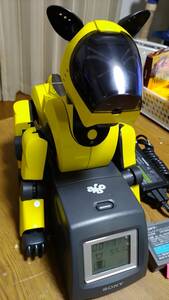 SONY AIBO アイボ ERS-210 黄色・黒（ツートン塗替）：動作品