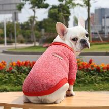 【超暖かい】犬服　セーター　ニット　ペット　小型犬　猫　防寒　秋冬　抜け毛防止　レッド　Lサイズ_画像5