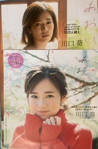 川口葵/週刊プレイボーイ付録DVD+本誌切り抜き8ページ分