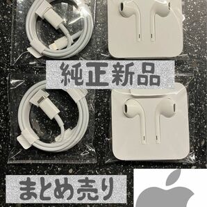 【新品　Apple純正】ライトニング イヤホン lightning iphone ライトニングケーブル USB C