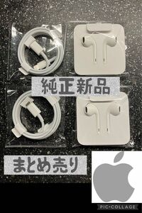 【新品　Apple純正】ライトニング イヤホン lightning iphone ライトニングケーブル USB C