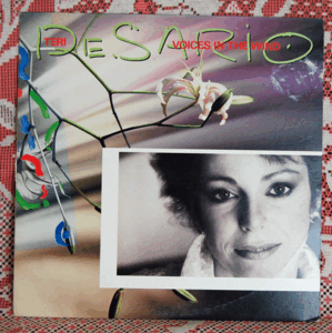 LP ヴォイシーズ・イン・ザ・ウインド/テリー・デサリオ　TERI DESARIO /VOICES IN THE WIND