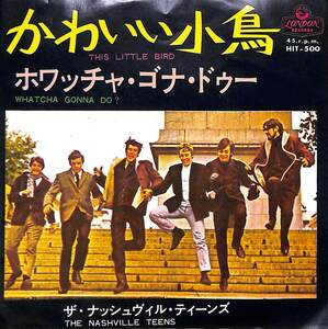 C00184462/EP/ナッシュヴィル・ティーンズ「かわいい小鳥 This Little Bird / Whatcha Gonna Do? (1965年・HIT-500・ロックンロール)」