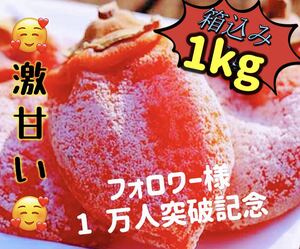 真空パック包装！肉厚でとてもジューシー　冷凍でもおいしい　激甘干柿箱込み1kg