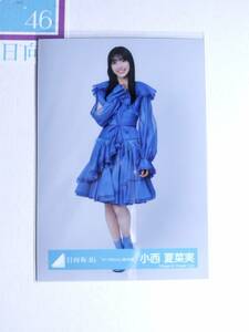 【小西夏菜実】日向坂46生写真 シーラカンスMV衣装 ひき 即購入可〇【同封】【匿名発送可】