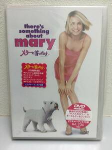 ★未開封★　メリーに首ったけ　DVD Theres Something About Mary キャメロン・ディアス