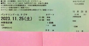 中日ドラゴンズ　ファンフェスタ　内野指定席ペア 　11/25（土）チケット　バンテリンドームナゴヤ