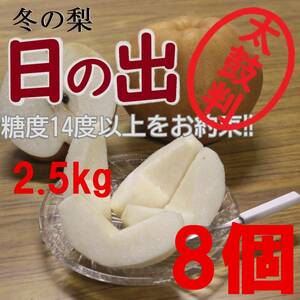 【送料込み】冬の梨”日の出”糖度14度以上 2.5kg8玉中玉 最高等級 太鼓判級 旬の果物産地直送 梨 南水 新高 にっこり梨 新興梨 秋月 a