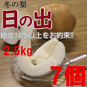 【送料込み】冬の梨”日の出”糖度14度以上 2.5kg7玉中玉 優糖生級 旬の果物産地直送 梨 南水 新高 にっこり梨 新興梨 秋月 王秋 a1