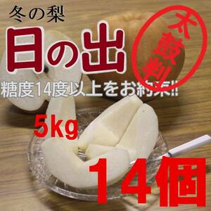 【送料込み】冬の梨”日の出”糖度14度以上 5kg14玉中玉 優糖生級 旬の果物産地直送 梨 南水 新高 にっこり梨 新興梨 秋月 王秋 a1