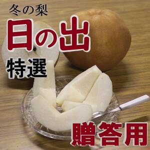 【送料込み】特選贈答 冬の梨”日の出”糖度14度以上 4.5kg12玉中玉 旬の果物産地直送 梨 南水 新高 にっこり梨 新興梨 秋月 王秋 a