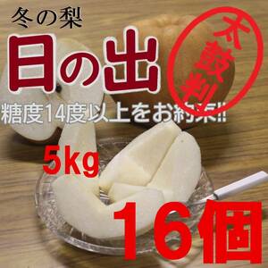 【送料込み】冬の梨”日の出”糖度14度以上 5kg16玉中玉 最高等級 太鼓判級 旬の果物産地直送 梨 南水 新高 にっこり梨 新興梨 秋月 a1