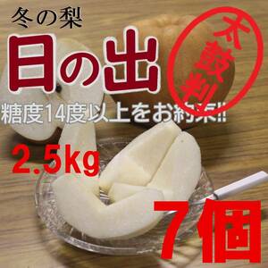 【送料込み】冬の梨”日の出”糖度14度以上 2.5kg7玉中玉 最高等級 太鼓判級 旬の果物産地直送 梨 南水 新高 にっこり梨 新興梨 秋月 b2