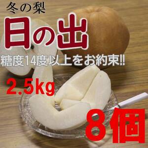 【送料込み】冬の梨”日の出”糖度14度以上 2.5kg8玉中玉 優糖生級 旬の果物産地直送 梨 南水 新高 にっこり梨 新興梨 秋月 王秋 a1