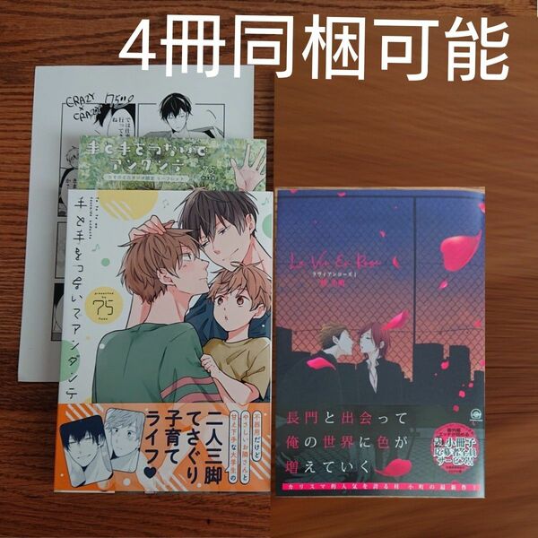 2冊セット!!美品☆手と手をつないでアンダンテ/75/ラヴィアンローズ /桂小町/BL 漫画/特典付き☆カテゴリ変更可能