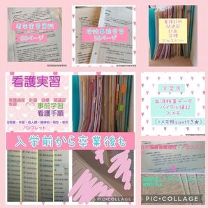 期間限定お値下げ★○43500円→看護実習 看護過程 アセスメント 看護目標 看護技術 手順書 看護学生 国家試験