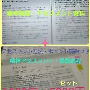 精神看護過程　精神実習　アセスメント　事前学習　看護学生　看護実習