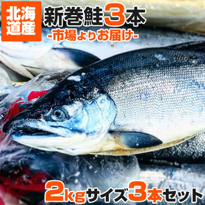 計6kg 鮭 姿 2kg×3尾 送料0円 新巻鮭 中辛 塩漬け 塩鮭 塩引き鮭 荒巻鮭 秋鮭 サケ さけ しょっぱい鮭 年末年始 お歳暮 お正月