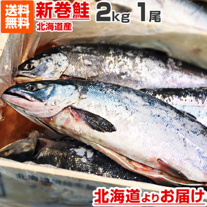 新巻鮭 2kg 1尾 送料0円 塩鮭 姿 鮭 北海道産 秋鮭 一本もの シャケ しゃけ サケ さけ 贈答 ちゃんちゃん焼き 年末年始 お歳暮 お正月