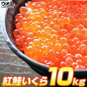 最安値挑戦！ いくら 醤油漬け 500g×20パック 計10kg 粒は小さいけど味は抜群！ 紅鮭 イクラ 贈答 いくら丼 年末年始 お正月 お歳暮